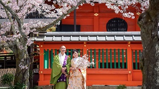 京都前撮り　桜の季節「毘沙門堂」TANAN丹庵