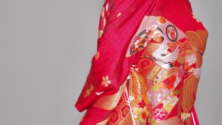 色打掛 吉祥大熨斗紋 Wedding kimono TANAN丹庵　