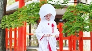 白無垢 立ち梅に鶴 Wedding kimono TANAN丹庵