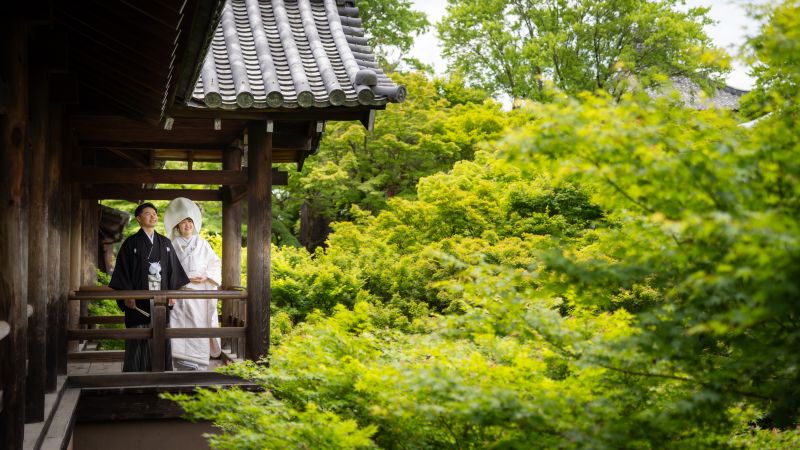 ロケーション撮影　東福寺　TANAN丹庵